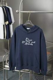 Picture of Dior Hoodies _SKUDiorS-XLhgntx012682